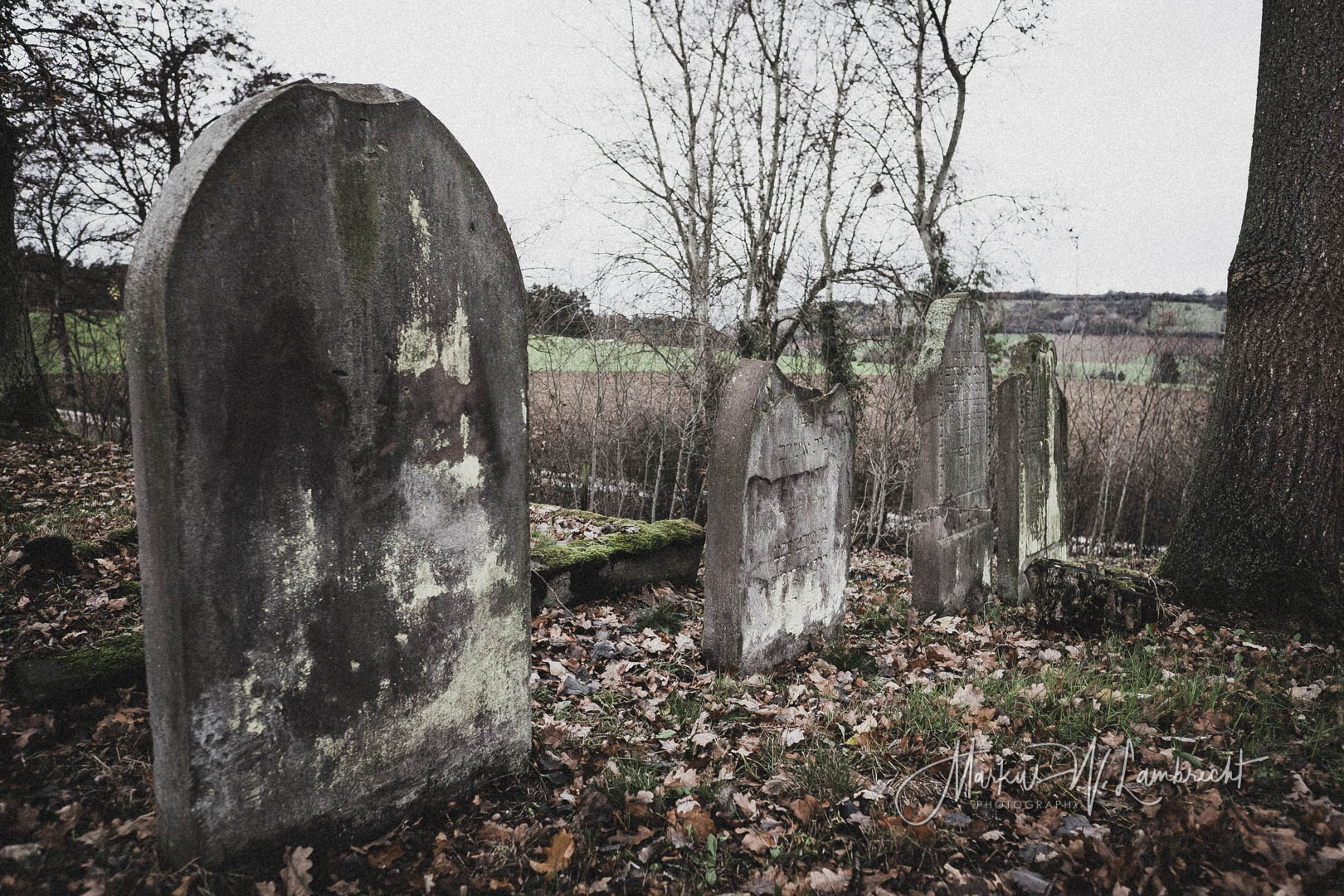 Mackensen (Dassel), Jüdischer Friedhof